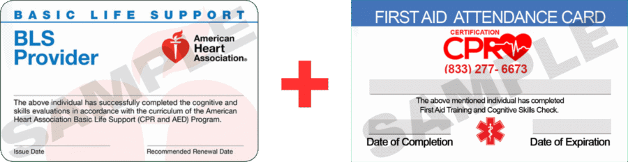 CPR and First Aid class training image